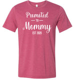 Promoted to Mommy Est 2020 Pregnancy Announcement Shirt for Women