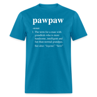 Pawpaw Definiton Unisex Classic T-Shirt - turquoise